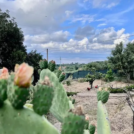 La Terrazza Sul Mare * Trabia