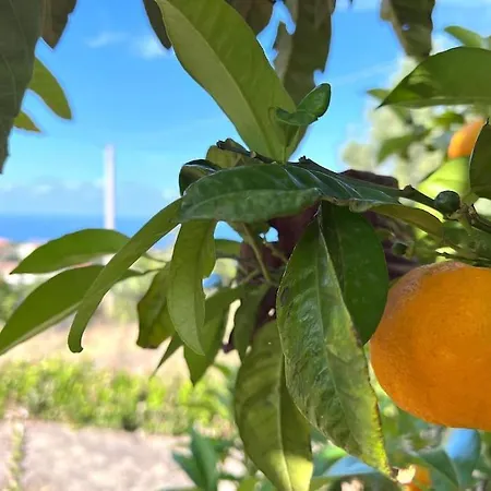 La Terrazza Sul Mare
